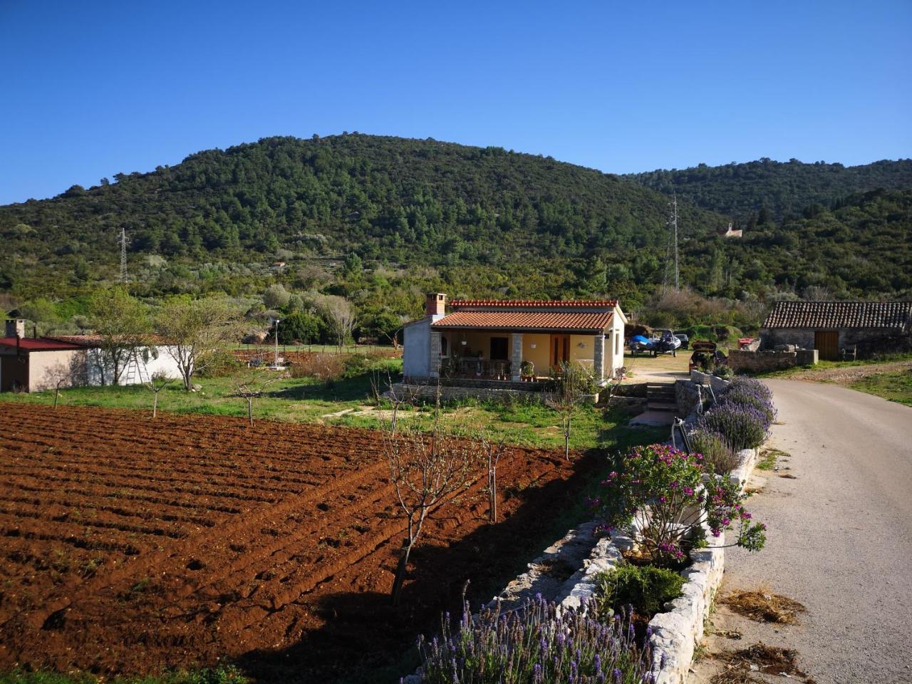 Holiday Home Cvitka Vis Exterior foto