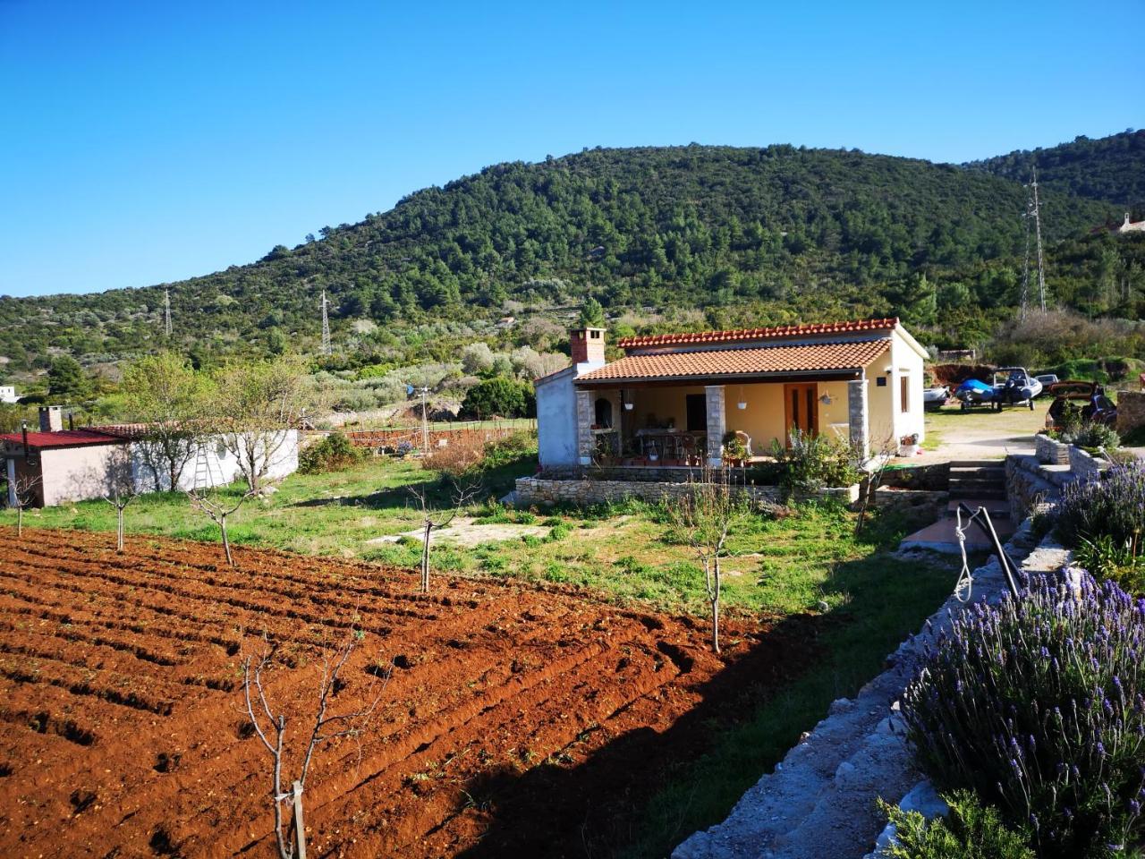 Holiday Home Cvitka Vis Exterior foto